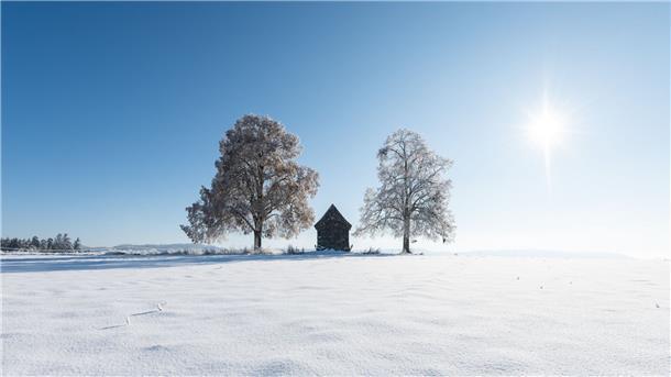 Nach kalten Tagen soll das Wetter in Deutschland in der neuen Woche milder werden.