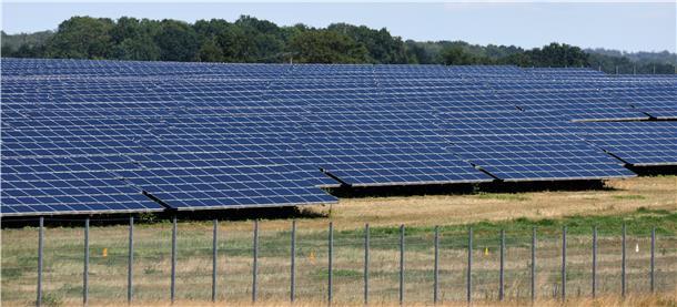 Solaranlagen stehen an einem Waldstück. 