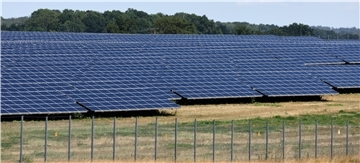 Solaranlagen stehen an einem Waldstück. 