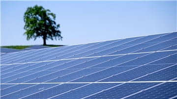 Bild einer Freiflächen-Photovoltaikanlage mit Grünland und Baum im Hintergrund