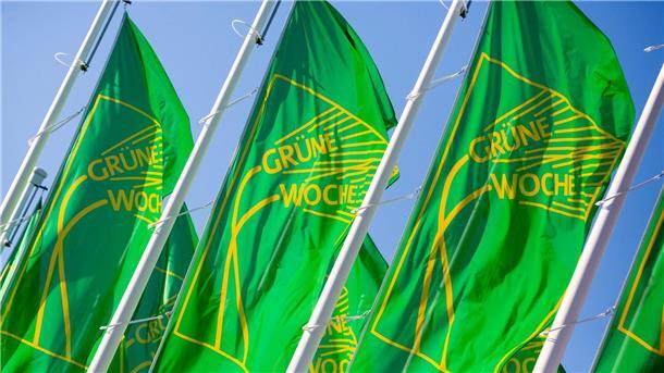 Bündnis „Wir haben es satt“ ruft zu Agrardemo in Berlin auf Nach zwei Jahren Zwangspause öffnet die Grüne Woche ab Freitag wieder für Besucher.