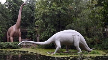 Nachbildungen eines Brachiosaurus (l) und eines Diplodocus stehen im Saurierpark im sächsischen Kleinwelka.