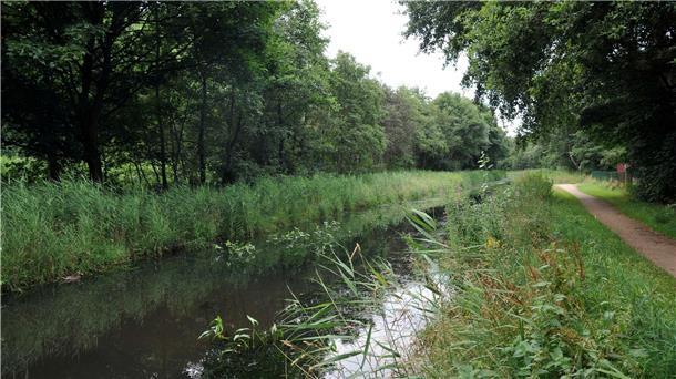 Das Foto zeigt den Fluss Neue Aue in Bremerhaven. Nachdem Unbekannte weiße Farbe in den Regenwasserkanal geleitet haben, ermittelt die Polizei in Speckenbüttel wegen einer auffälligen Verschmutzung der Neuen Aue.