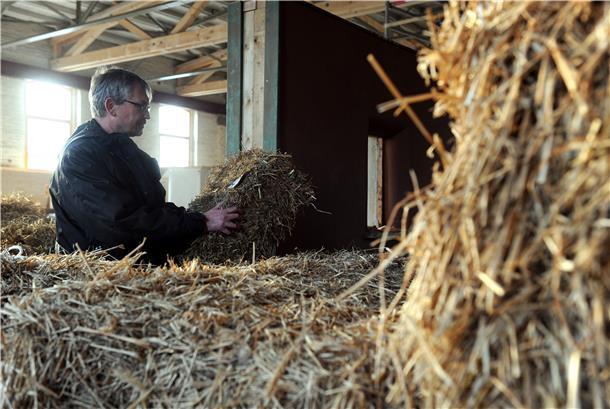 Der Geschäftführer des Norddeutschen Zentrums für Nachhaltiges Bauen GmbH in Verden (Niedersachsen), Christian Silberhorn, führt am 27.02.2014 den Umgang mit Strohballen für ein ökologisches Bauen vor