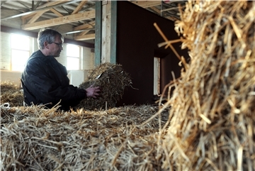 Der Geschäftführer des Norddeutschen Zentrums für Nachhaltiges Bauen GmbH in Verden (Niedersachsen), Christian Silberhorn, führt am 27.02.2014 den Umgang mit Strohballen für ein ökologisches Bauen vor