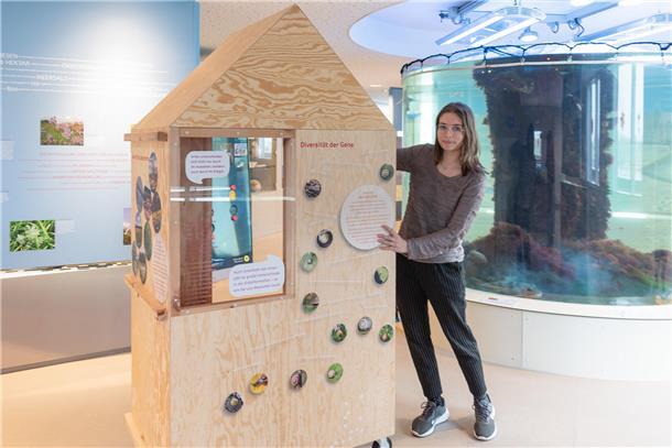 Ausstellung "Biodiversi-Was?" im Nationalpark-Haus Wurster Nordseeküste