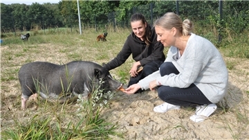 Natürlich kümmert sich das Tierheim Bremerhaven zum großen Teil um Hunde und Katzen. Aber Pflegeleiterin Nadine Bruns (links) und Tierheimleiterin Amelie Bensch sind zurzeit auch zuständig für zwei Brahma-Hähne (im Hintergrund) und ein Schwein namens Bacon.