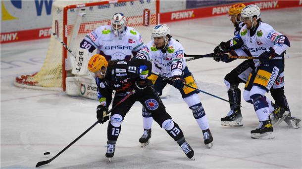 Neuauflage des Playoff-Endspiels: Die Pinguins um Ziga Jeglic (links, in schwarz) und Jan Urbas wollen das erste Heimspiel gegen die Eisbären Berlin seit der Finalniederlage am Dienstag unbedingt gewinnen.