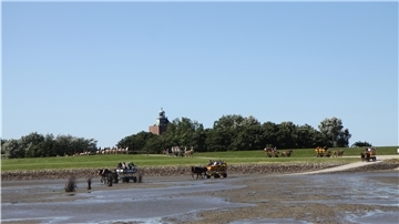 Neuwerk, das Kleinod im Wattenmeer, ist derzeit notgedrungen von der Außenwelt abgeschottet.
