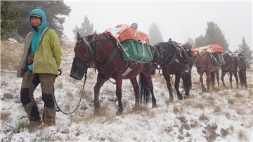 Eine Frau läuft mit vier Mustangs im Schlepptau bei Schneefall über eine Wiese.