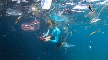 Eine Wissenschaftlerin schwimmt zwischen schwimmenden Plastikfragmenten. 