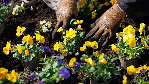 Gartenarbeit