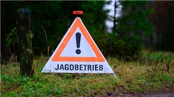 Ministerin legt Eckpunkte für Jagdgesetz-Reform vor Niedersachsens Landwirtschaftsministerin Miriam Staudte (Grüne) hat Eckpunkte zur Änderung des Jagdgesetzes vorgelegt. (Archivfoto)