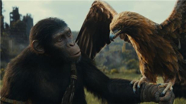 Noa (gesprochen von Owen Teague) in einer Szene des Films „Planet der Affen: New Kingdom“