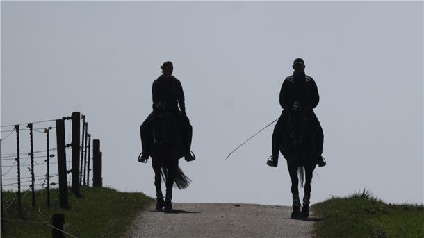 Zwei Reiter reiten mit ihren Pferden über einen Feldweg
