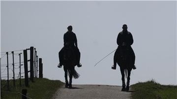 Zwei Reiter reiten mit ihren Pferden über einen Feldweg