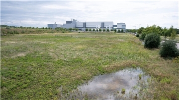 Noch eine Wiese im Dresdner Stadtteil Klotzsche, im Hintergrund ist die Halbleiterfabrik von Bosch zu sehen.