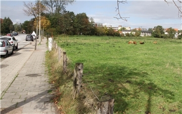 Noch ist das Gelände am Döser Feldweg eine grüne Wiese. Aber vielleicht rücken hier schon im kommenden Jahr die Bagger an, um die neue „Schule am Meer“, Cuxhavens Förderschule für geistige Entwicklung, zu bauen.