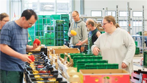 Mehrere Menschen auf dem Gemüsehof in Spieka (Landkreis Cuxhaaven) sortieren Gemüse in Kisten ein.