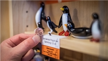 Nur einen halben Zentimeter groß ist das kleinste Pinguinexponat im Museum und besteht aus filigraner Handarbeit eines Glasbläsers.
