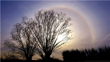 NZ-Leserin Dagmar Jeromin hat in Sandstedt eine Halo-Erscheinung, ein meteorologisches Phänomen, fotografiert.