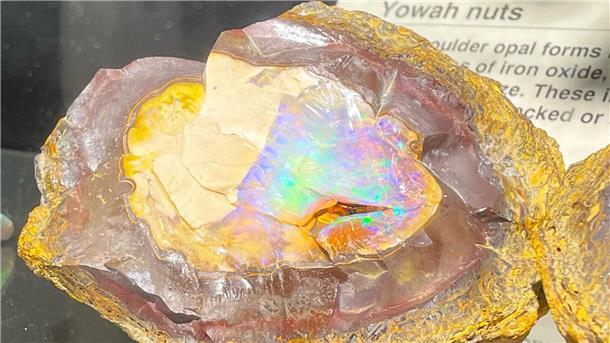 Im Rausch der Opale: Australiens National-Edelstein Opale werden in der Regel zu Schmuck verarbeitet. So sieht der Stein unbearbeitet aus.