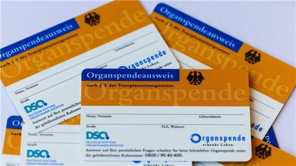 Organspendeausweise.