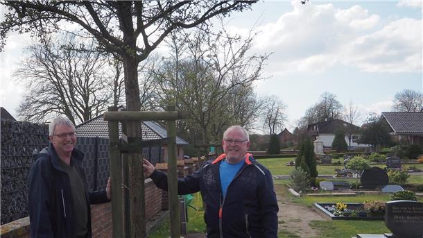 Ortsbürgermeister Thomas Frese (rechts) und sein Stellvertreter Christian Schumacher mit einem der „Problembäume“ auf dem Wehdener Friedhof. 