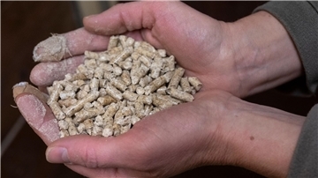 Pelletöfen und Pelletkessel gelten in der Regel als weniger belastend für die Umwelt als andere Holzverbrennung.