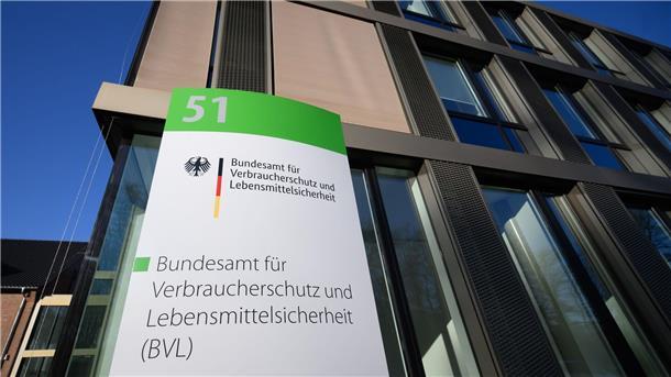 Per Notfallzulassung hat das Bundesamt für Verbraucherschutz und Lebensmittelsicherheit (BVL) die Bekämpfung der Schilf-Glasflügelzikade mit Pflanzenschutzmittel ermöglicht.