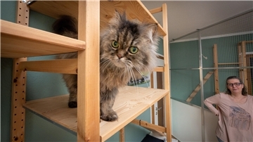 Perserkater Gizmo, der nach dem verstorbenen Maine-Coon-Kater „Gismo“ das zweite „Maskottchen“ des Katzenhotels „Gismos Inn“ ist, mit Frauchen Ute Kellmer.