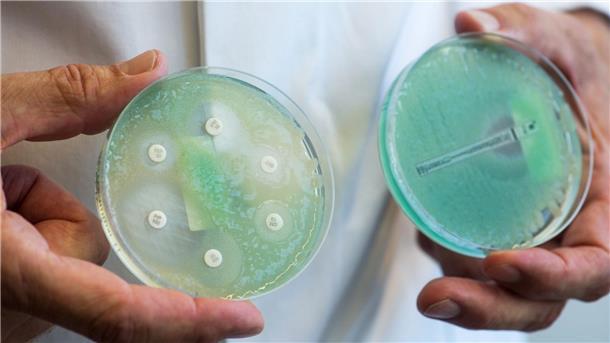 Krankenkasse: Weniger Rezepte für Antibiotika ausgestellt Petrischalen mit sogenannten Krankenhauskeimen, die Mehrfachresistenzen gegenüber Antibiotika aufweisen.