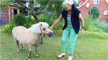 Pferd Frau Garten