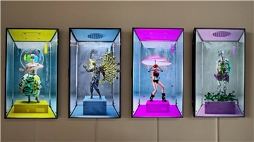 video image