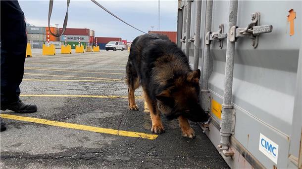 So jagt der Zoll Kokainschmuggler in Bremerhaven