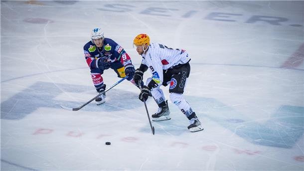 Pinguins-Kapitän Jan Urbas spielt am Samstag um 16 Uhr gegen die Grizzlys Wolfsburg um den dritten Platz beim swb-Cup.