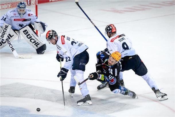 Pinguins-Stürmer Skyler McKenzie (Mitte) wird von Ingolstadts Andrew Rowe (rechts) niedergestreckt.