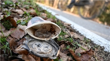 Plastikmüll ist weiterhin ein großes Problem - die Mehrwegangebotspflicht soll helfen, ihn zu reduzieren.