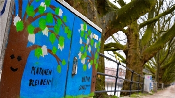 „Platanen bleiben!“ steht auf einem Stromkasten vor den Platanen am Weserufer.