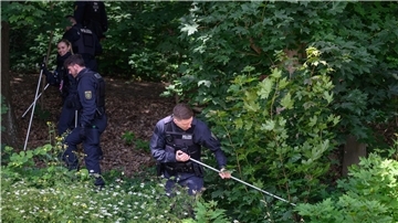 Polizisten suchen mit Suchstangen in einem Waldstück bei Döbeln nach der vermissten Grundschülerin.