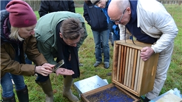 Menschen gucken in einen Bienenstock.