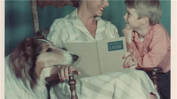 „Lassie“-Star June Lockhart mit 100 Jahren gestorben Provost und Lockhart drehten „Lassie“ gemeinsam von 1958 bis 1964. (Archivbild)