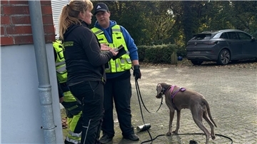 Rettungshundeführerin Martina Bentz, ihre Hündin Abby und Prüferin Steffi Vestegger