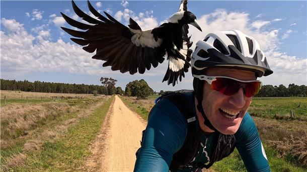 Magpies: Australiens überraschende Angreifer aus der Luft Radfahrer Shane Miller testet einen „PieProof“-Helm gegen Magpie-Angriffe.