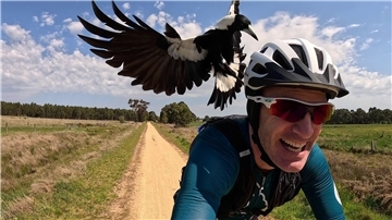 Radfahrer Shane Miller testet einen „PieProof“-Helm gegen Magpie-Angriffe.