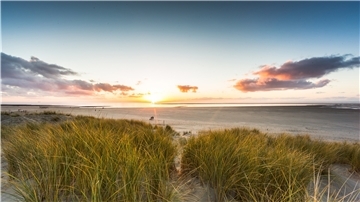 Raue Natur, salzige Luft: Nicht nur der Strand auf Borkum lockt auch im Winter naturverbundene Urlauber an.