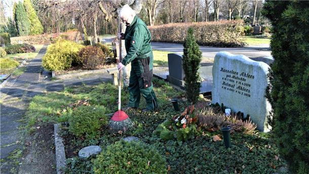 Regelmäßige Pflege muss sein, auch im Winter: Friedhofsgärtner Joachim Scharnberg recht das Laub von einem Grab auf dem Langener Friedhof, das mit Heidekraut, Ilex und Waldsteinie gestaltet wurde. Letztgenannte Pflanze ist ein Bodendecker, dessen Blüten im Frühling und Sommer auch Insekten anlocken.