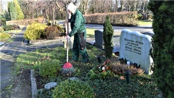 Regelmäßige Pflege muss sein, auch im Winter: Friedhofsgärtner Joachim Scharnberg recht das Laub von einem Grab auf dem Langener Friedhof, das mit Heidekraut, Ilex und Waldsteinie gestaltet wurde. Letztgenannte Pflanze ist ein Bodendecker, dessen Blüten im Frühling und Sommer auch Insekten anlocken.