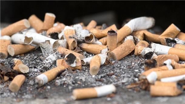 Wirbel im Kampf gegen Tabak: Verbot von Filtern und Aroma? Reste von gerauchten Zigaretten in einem Aschenbecher.