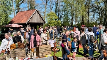 Plfanzen und Staudenmarkt in Waddens.